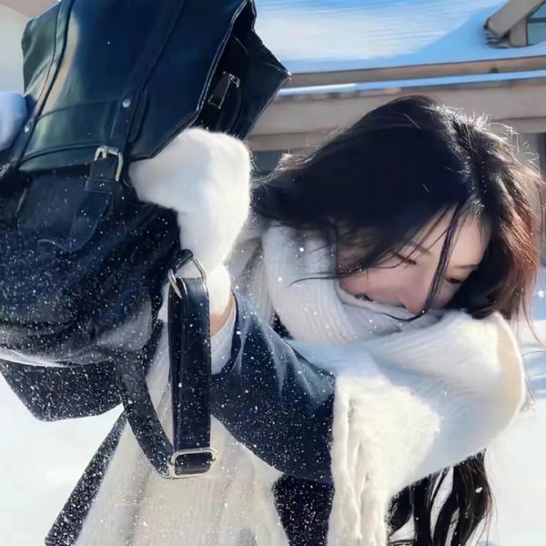 晴晚之林